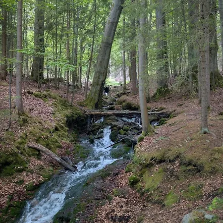 Huette Fuchsbau - Ruheort Mitten Im Wald Apartamento *