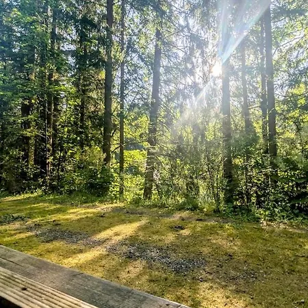 Appartamento Huette Fuchsbau - Ruheort Mitten Im Wald Eibenstock