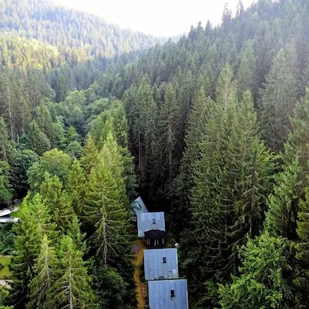 Huette Fuchsbau - Ruheort Mitten Im Wald Eibenstock