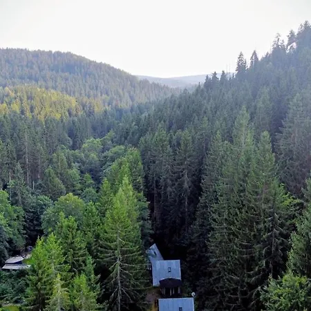 Huette Fuchsbau - Ruheort Mitten Im Wald Appartamento