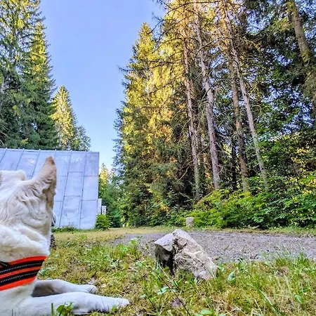 Apartamento Huette Fuchsbau - Ruheort Mitten Im Wald Eibenstock